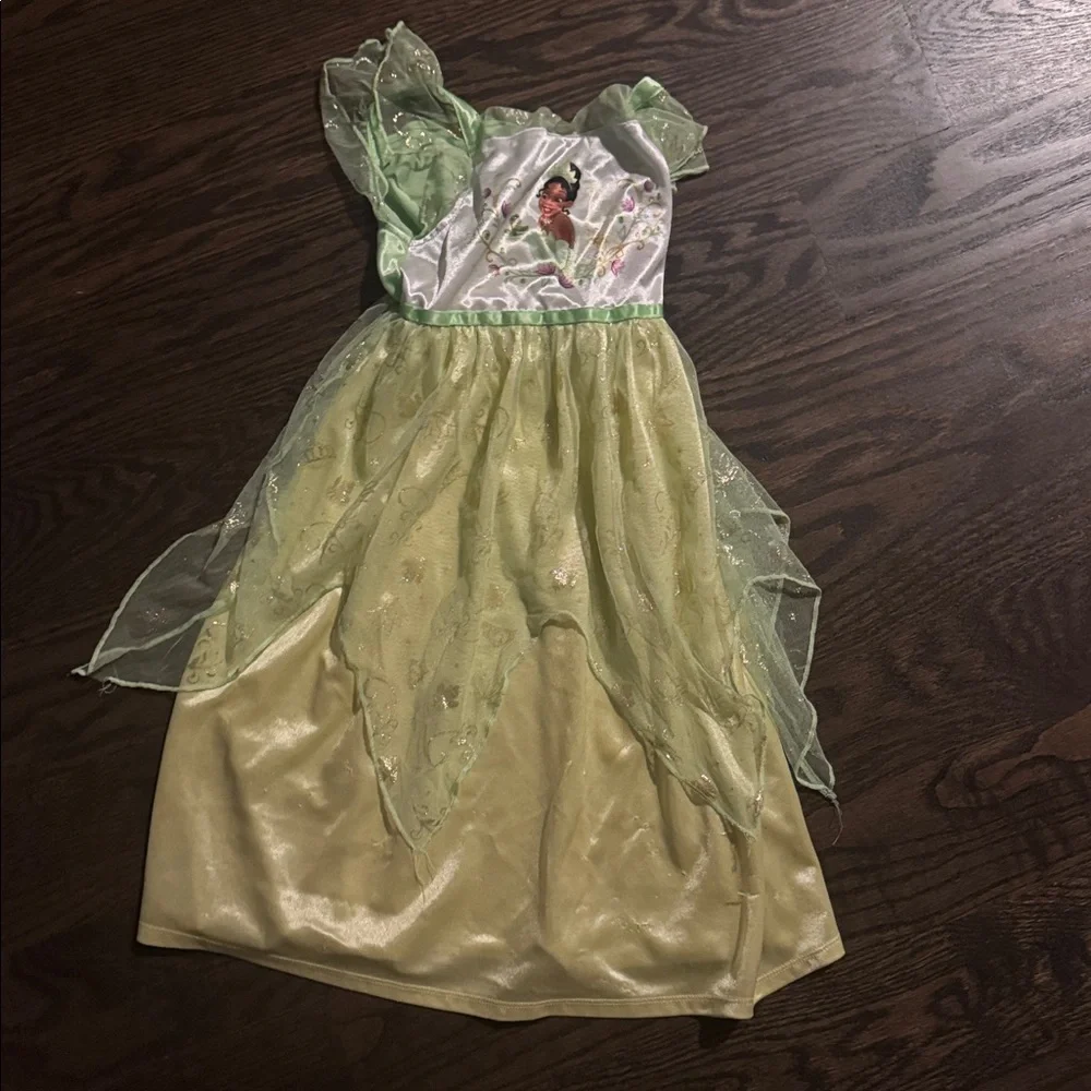 Disney Princess Dresses 4T - Picture 9 of 10